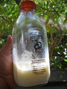 straus milk bottle